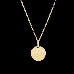 Scorpio Necklace Vermeil 20-22" $80